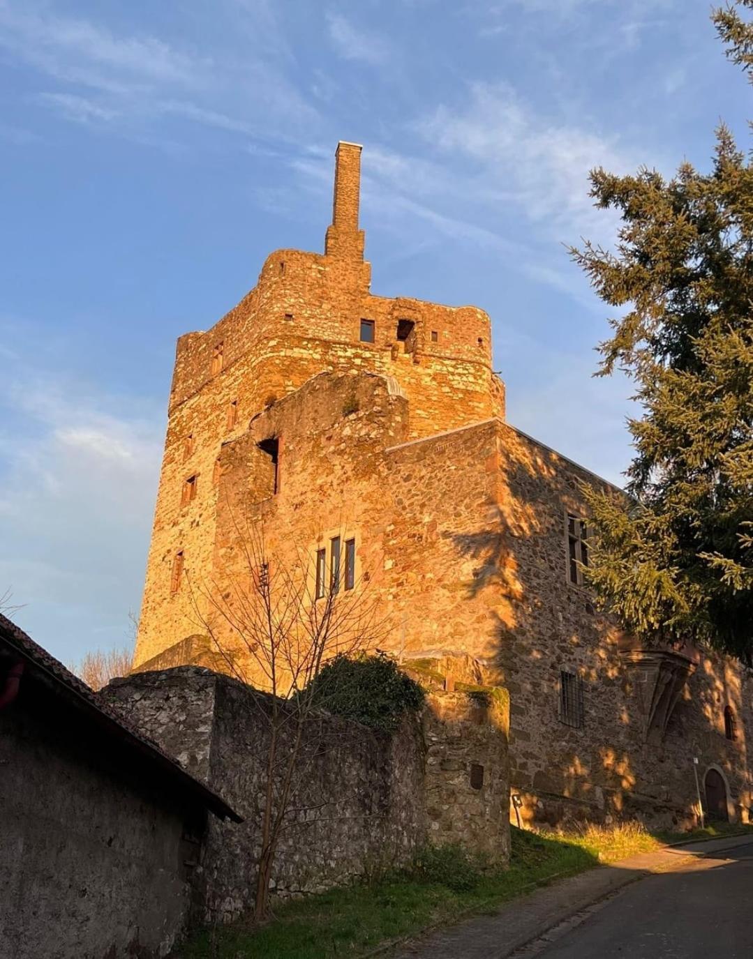 Burg Hermannstein - Rittersaal Wetzlar Bagian luar foto